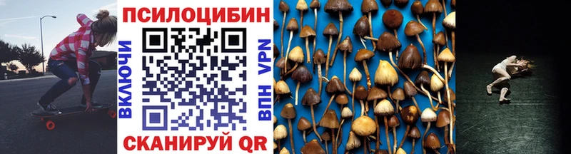 Купить где  Туринск  Галлюциногенные грибы Psilocybe 