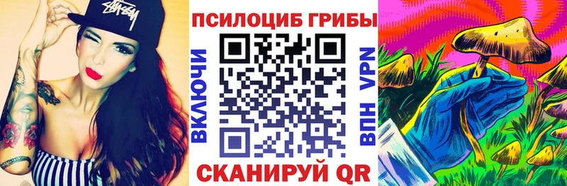 Псилоцибиновые грибы Psilocybe Туринск